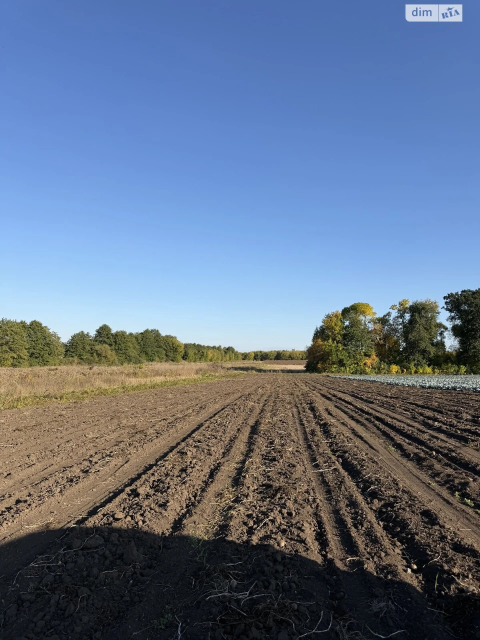 Land for Agricultural Purposes for Sale