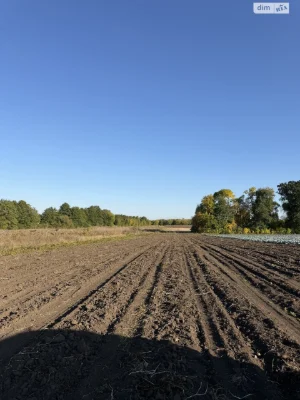 Land for Agricultural Purposes for Sale