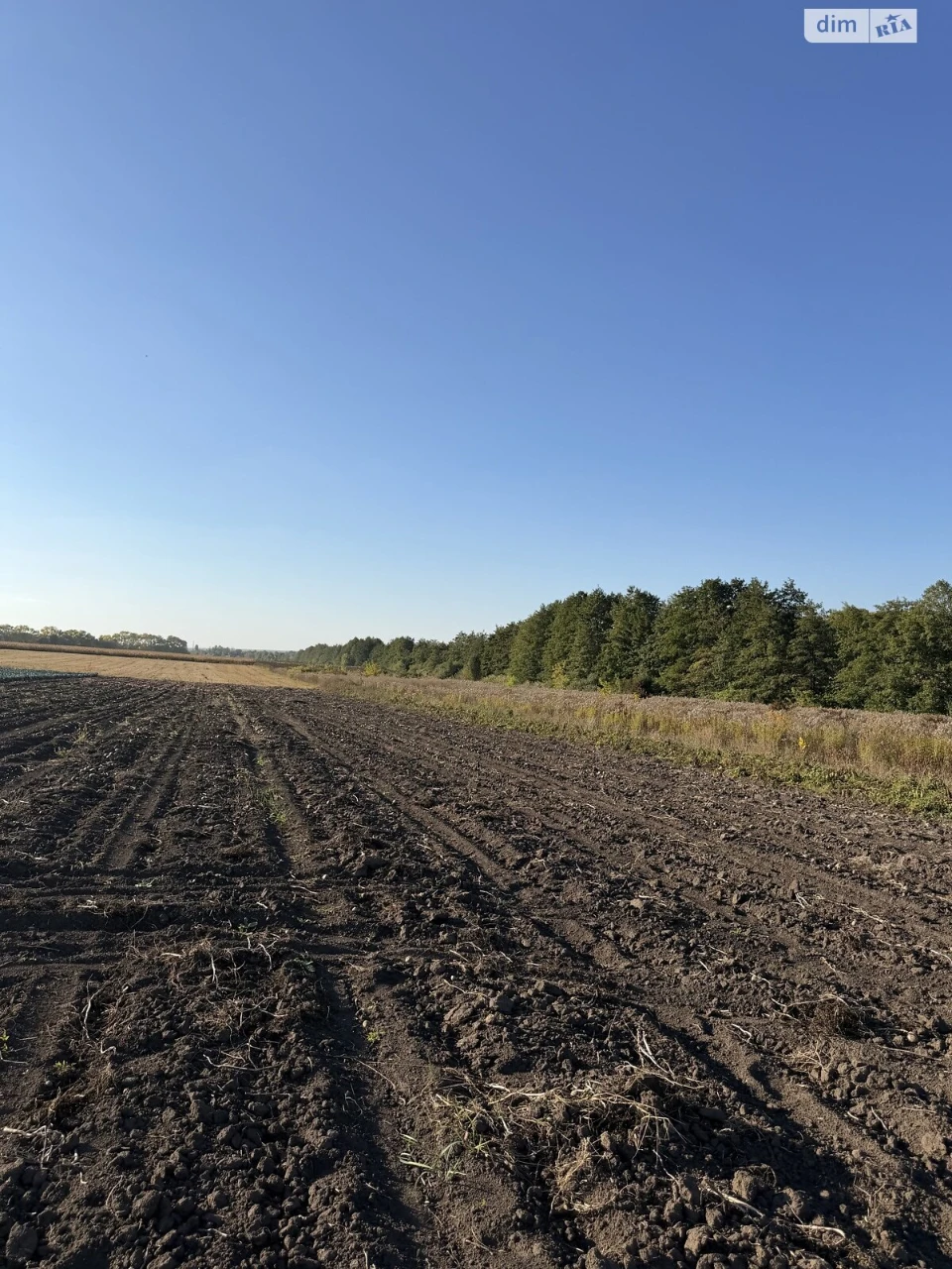 Land for Agricultural Purposes for Sale