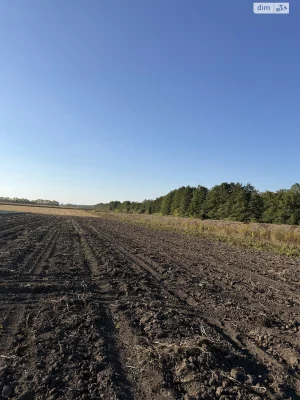 Land for Agricultural Purposes for Sale