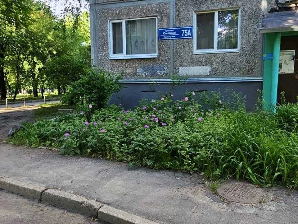 Apartment. Kharkiv, Yubileiny Ave. ()