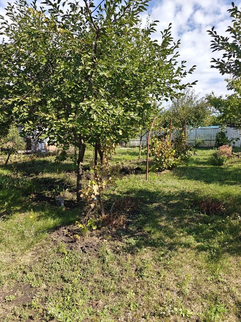 Продажа дачи в СТ "Геолог"