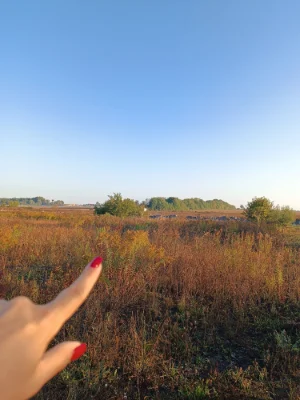 Срочная продажа земли в черте города.