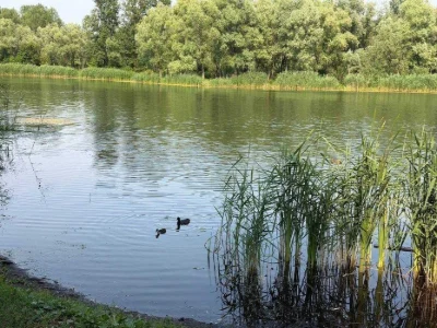 GAZ, 2-room apartment for sale near the lake