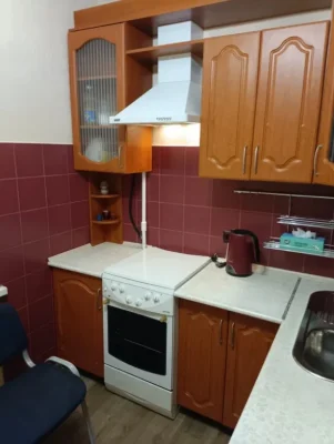 Rent 1-bedroom apartment 35 m², Priozernaya St., 12A