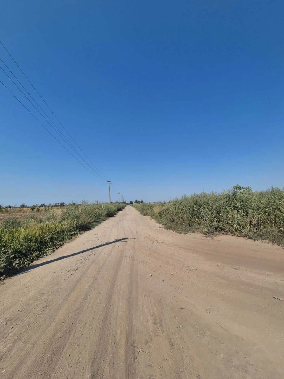 Земельні ділянки у Червоному Хуторі/Гарманна з Розтермінуван
