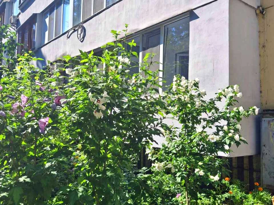 Квартира. Киев, Евгена Коновальца ул.