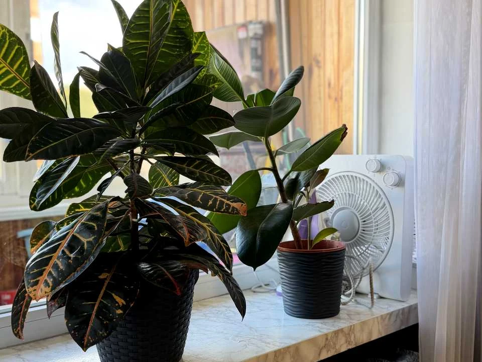 Apartment. Lutsk, Zaharova St.