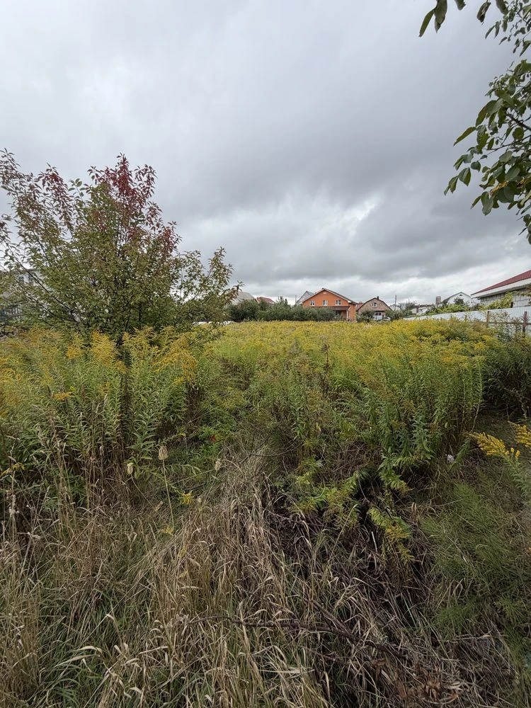 Sale of Land Plot in Topolina, 45