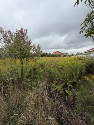 Sale of Land Plot in Topolina, 45