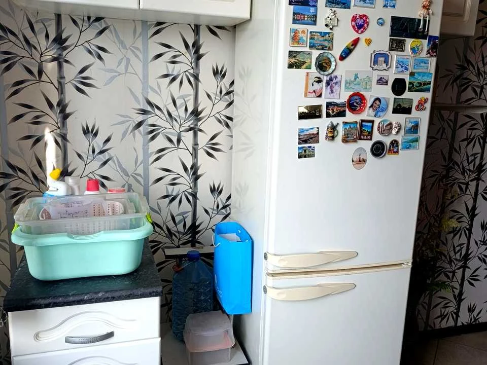 Apartment. Valentynivska Street, Kharkiv