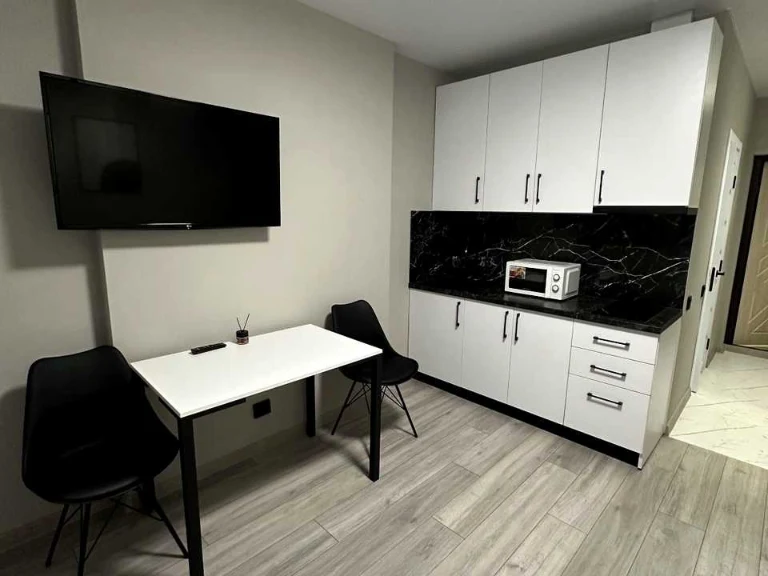 Apartment. Odessa, Profsoyuzna Street