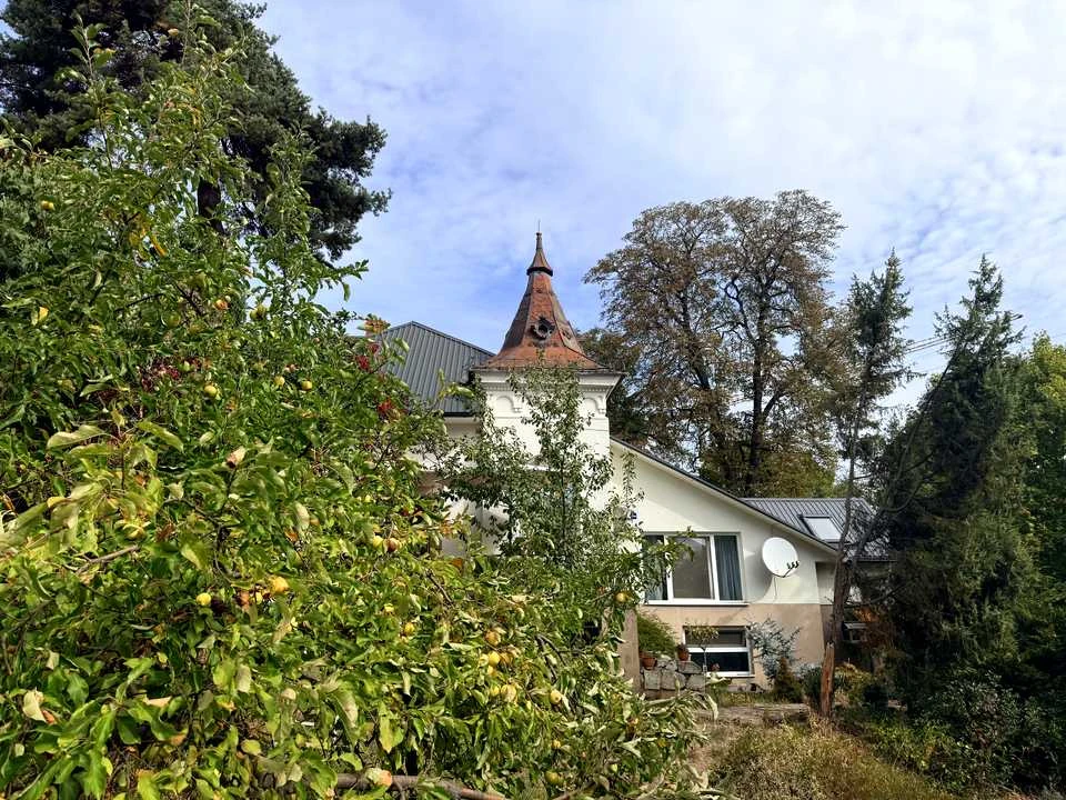 House. Uzhhorod, Kosicka Street