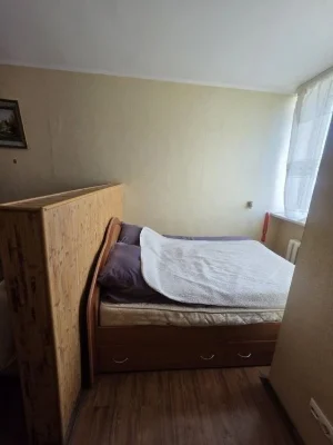 Bazhana 1M, Poznyaki