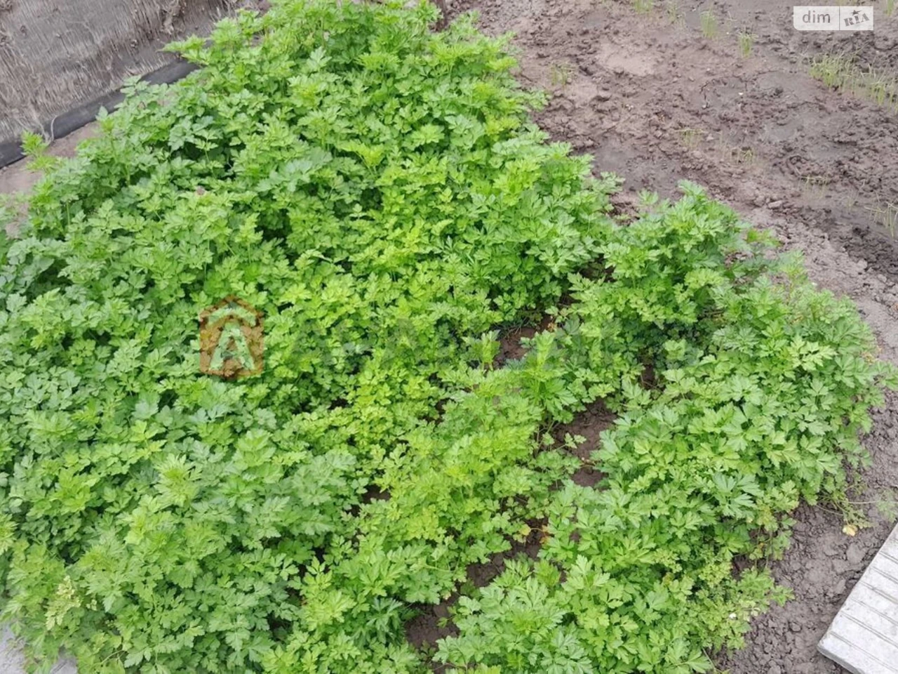 Продажа Дома