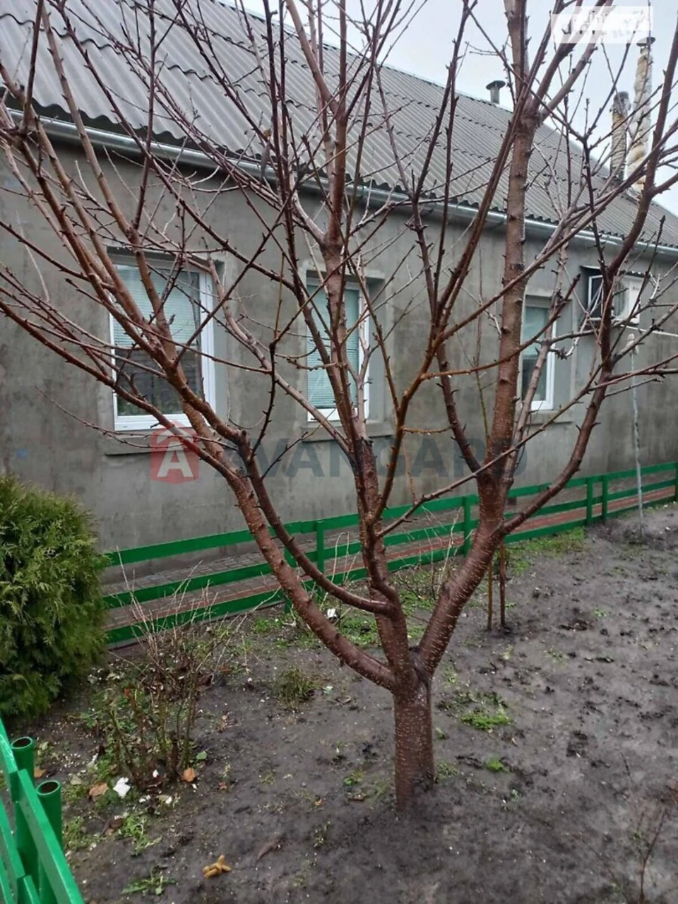 Продаж Дім