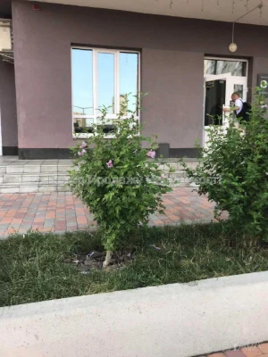 Квартира с двумя комнатами, 63,9 кв. м.