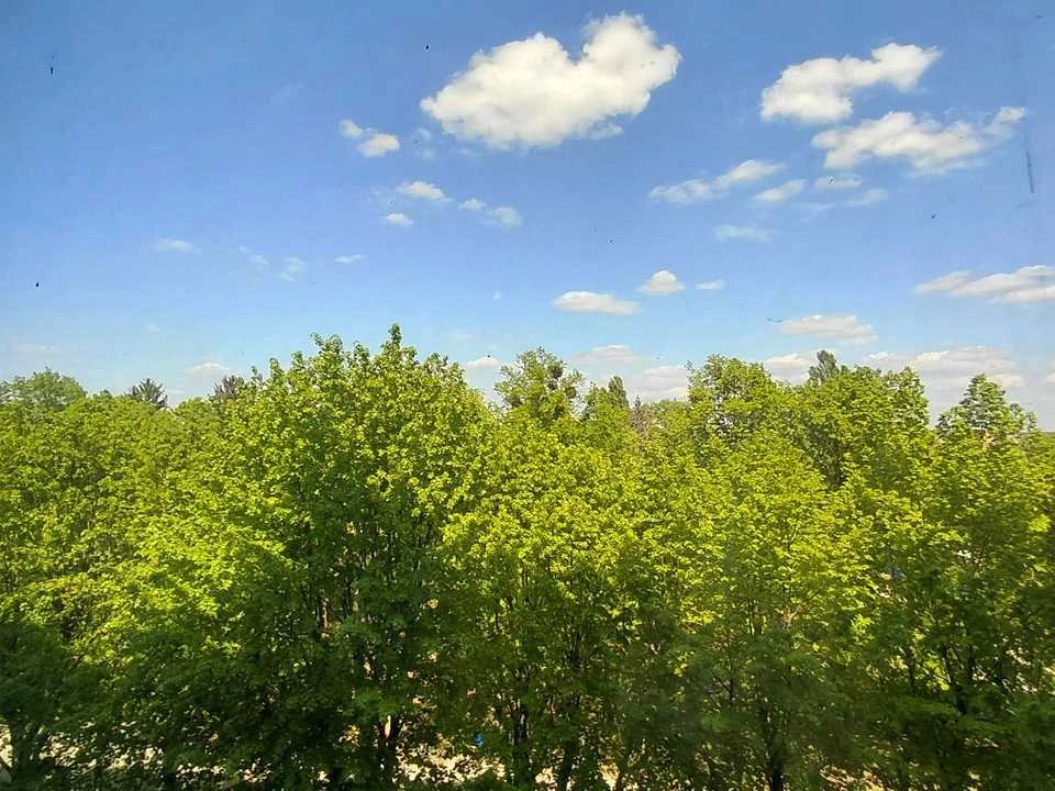 Квартира. Харків, Динамівська вул.