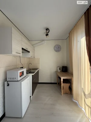 Long-Term Rental Apartment Staromysky