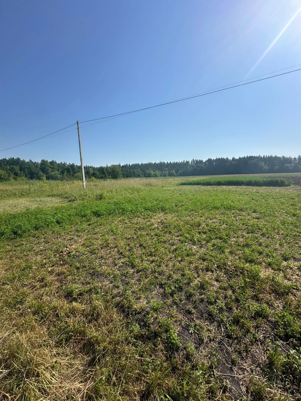 Sale of Land Plot on Sienka