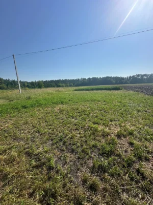 Sale of Land Plot on Sienka
