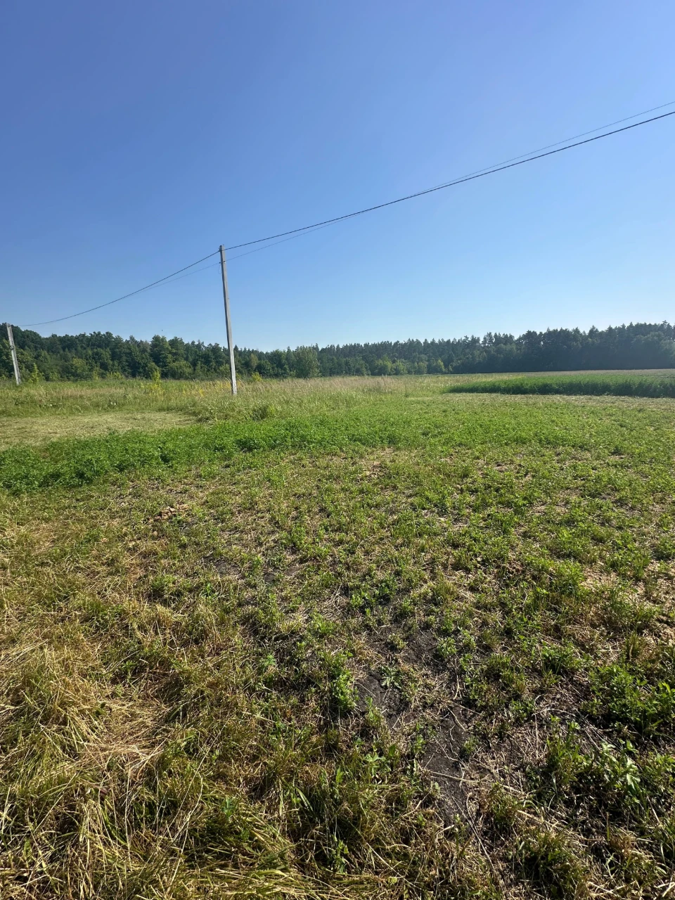 Sale of Land Plot on Sienka
