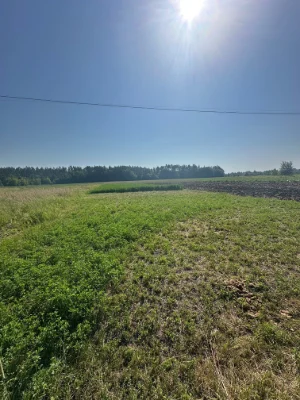 Sale of Land Plot on Sienka