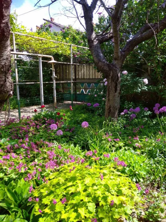 Plot in Chornomorka 7 acres (cadastre) SEA 100 meters away (15
