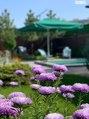 Long-Term Rental House in Holosiiv
