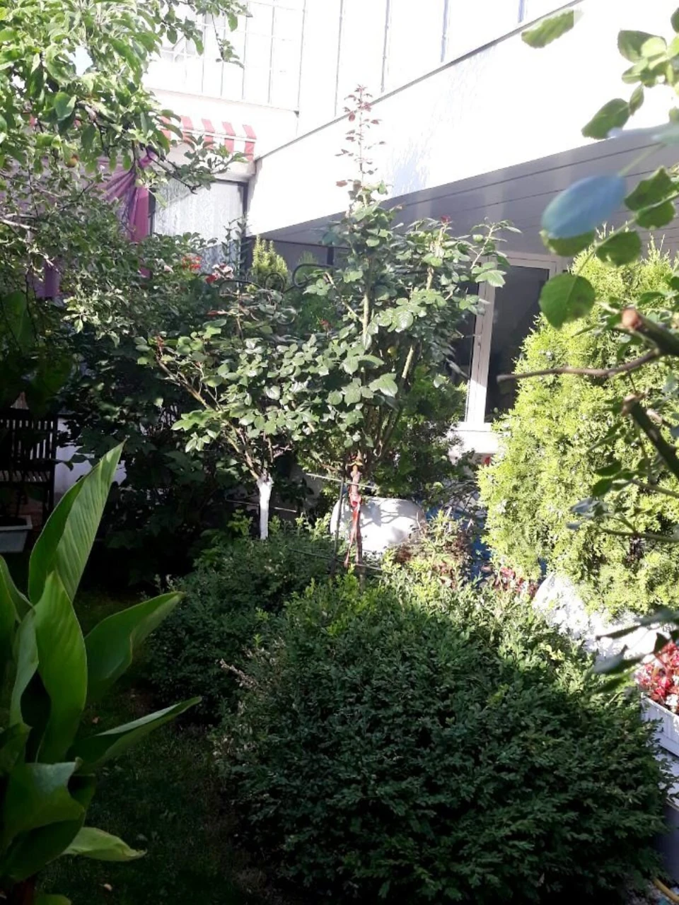 Sale: Kyiv House