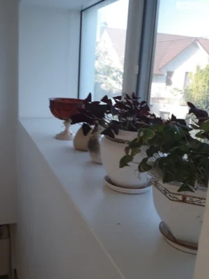 Sale: Kyiv House