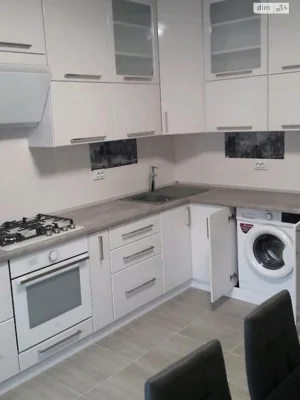 Long-Term Rental Apartment in Kyiv