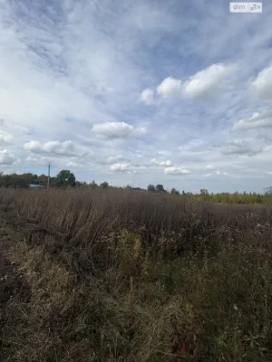 Sale of Land for Agricultural Purposes