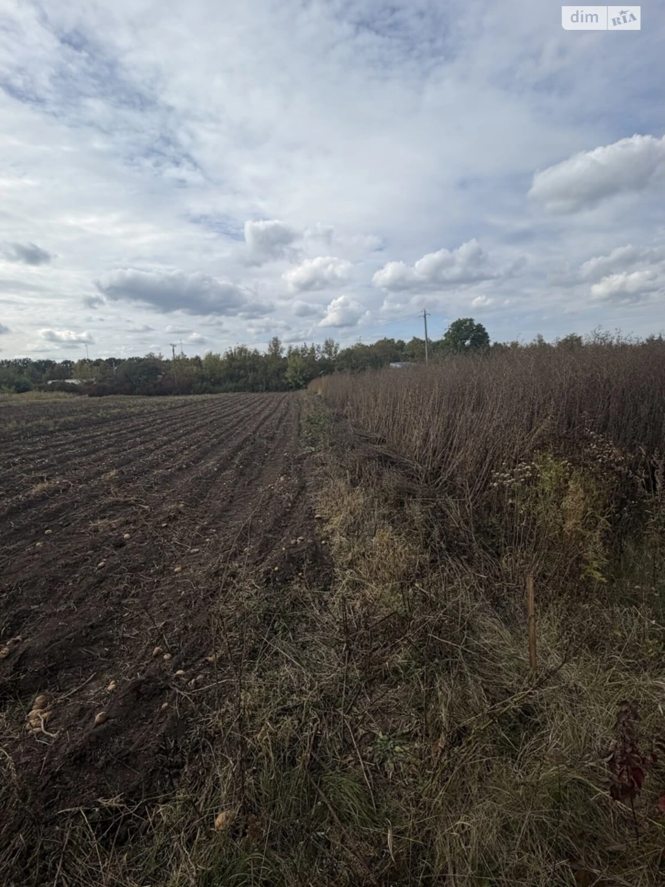 Sale of Land for Agricultural Purposes