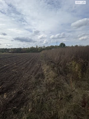 Sale of Land for Agricultural Purposes