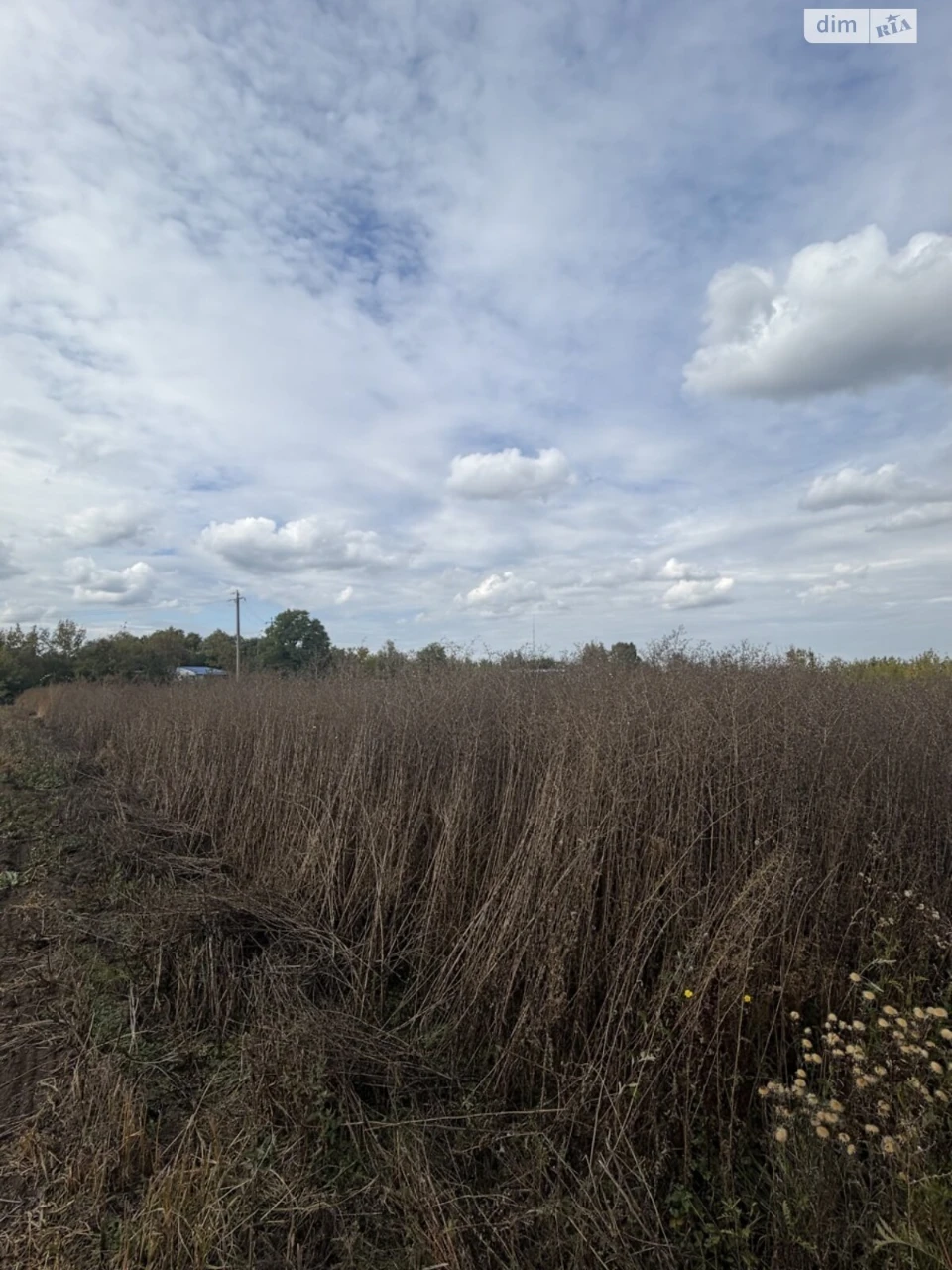 Sale of Land for Agricultural Purposes