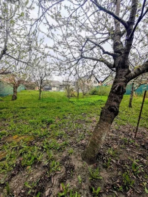 House for Sale in Lezneve – 70 m² + 21 ACRES of Land! 42182