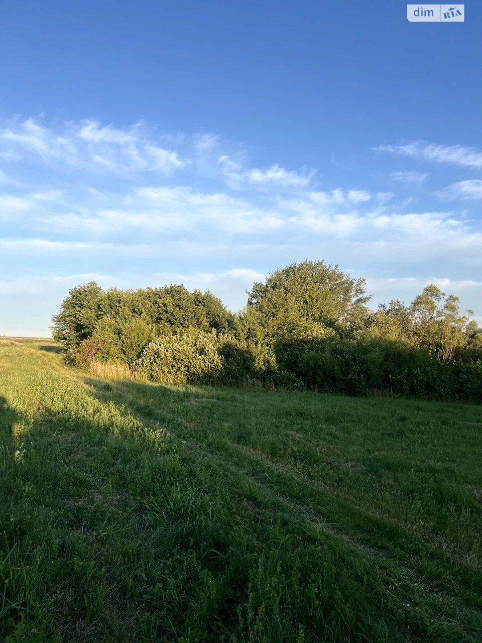 Land for Agricultural Purposes for Sale