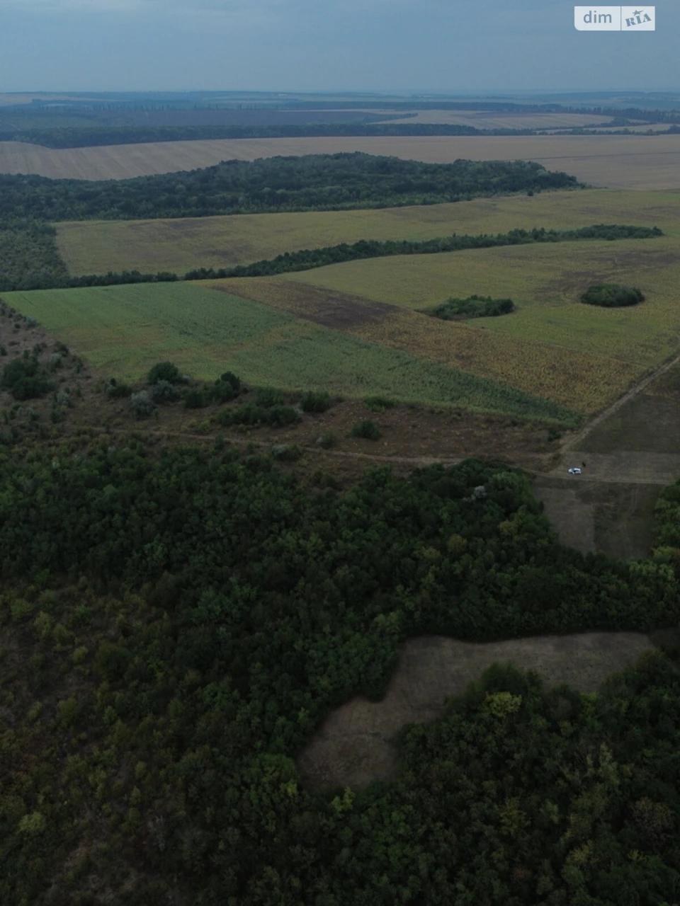 Land for Agricultural Purposes for Sale