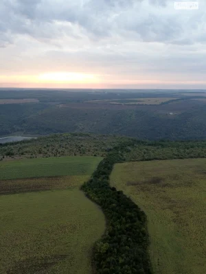 Land for Agricultural Purposes for Sale