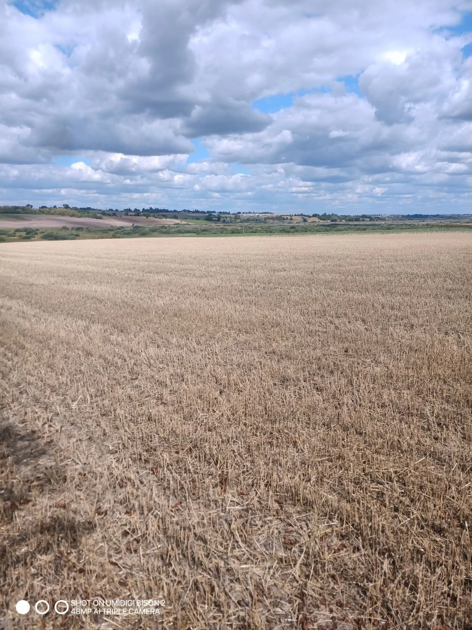 Land for sale 0720887800:01:001:1008 and 0720887800:01:001