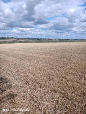 Land for sale 0720887800:01:001:1008 and 0720887800:01:001