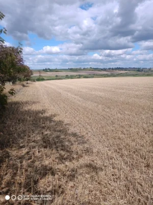 Land for sale 0720887800:01:001:1008 and 0720887800:01:001