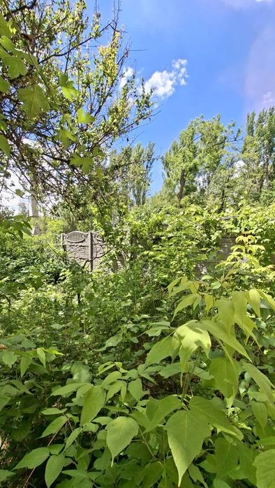 3-room apartment for sale Kustonayskaya