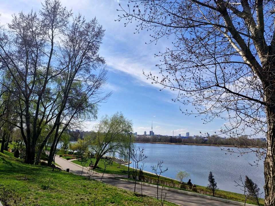 Квартира. Оболонский проспект, Киев.