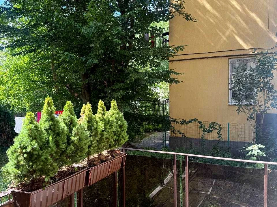 Apartment. Maksima Zalizniak Street, Lviv