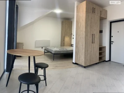 Long-Term Rental Apartment in Lychakivsky District