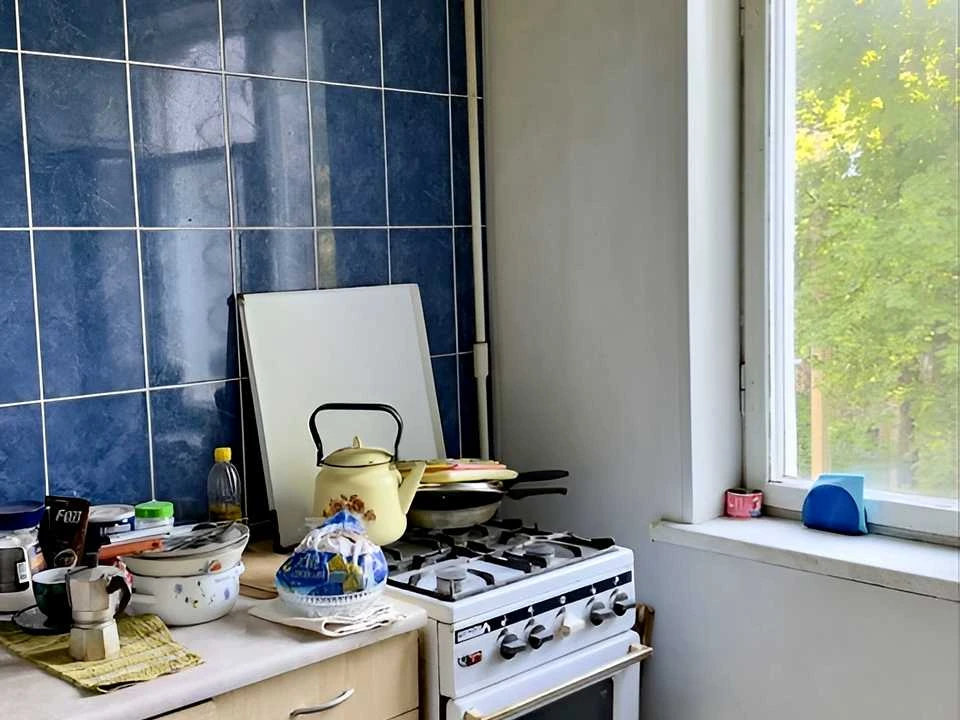 Apartment. Kadyenuka Street, Kharkiv