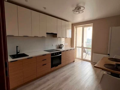 Rent 1-bedroom apartment 45 sq m 26/26 floor