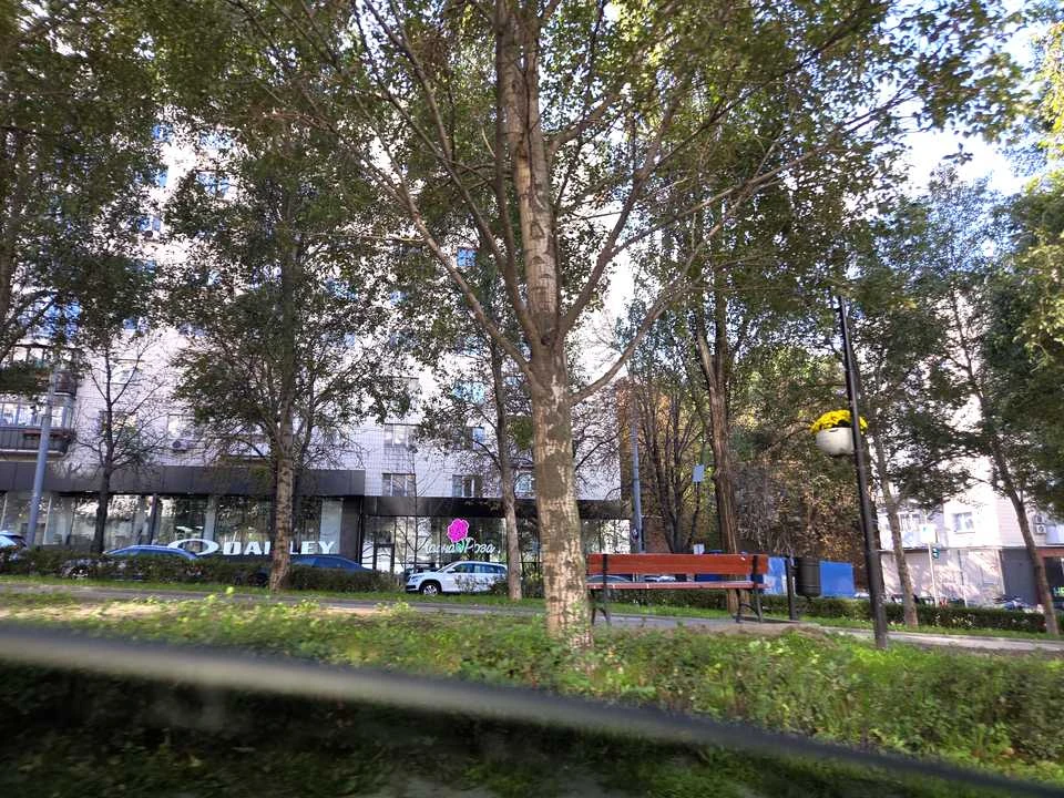 Квартира. Київ, Лесі Українки бульв.